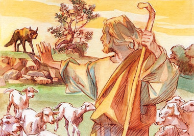 «Io sono il buon pastore che dà la propria vita per le pecore». Davanti al lupo non le abbandona.