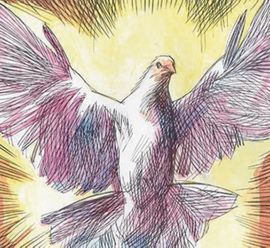 Il simbolo dello Spirito Santo: la colomba