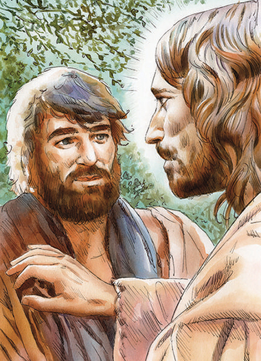 Commento - Disegno: Stefano Pachì Commento - Disegno: Stefano Pachì